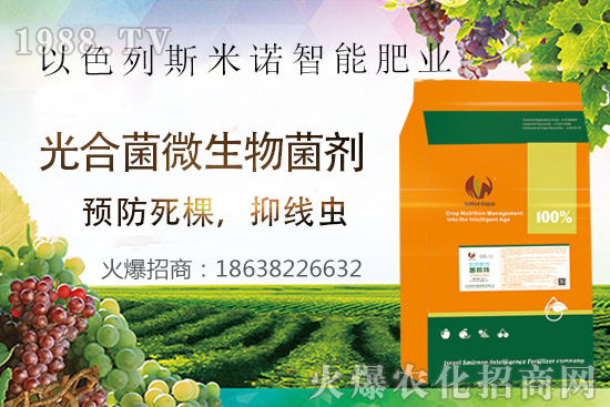 根結(jié)線蟲危害大，太難防？“菌微特”來幫忙！抑制線蟲和蟲卵，干凈！