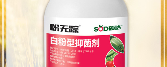 �׷����־���-�۟oۙ-�T�_(d��)_03