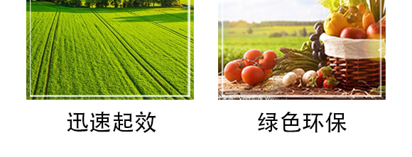 �׷����־���-�۟oۙ-�T�_(d��)_08