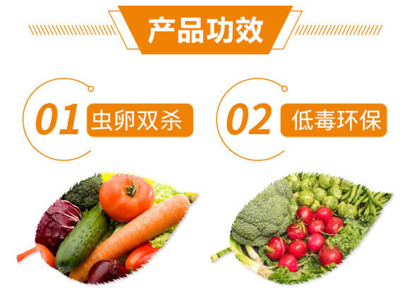 �x����+ʭ����-�����p��-����֮��_08