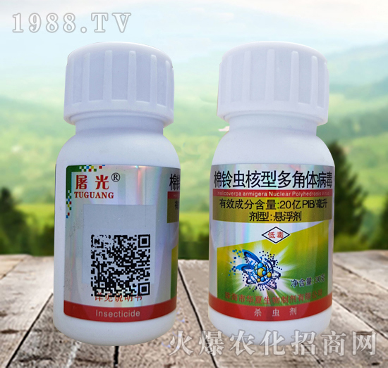 棉鈴蟲核型多角體病毒殺什么蟲？效果怎么樣？怎么選擇？