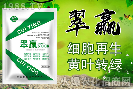 桃樹(shù)苗嫁接技巧