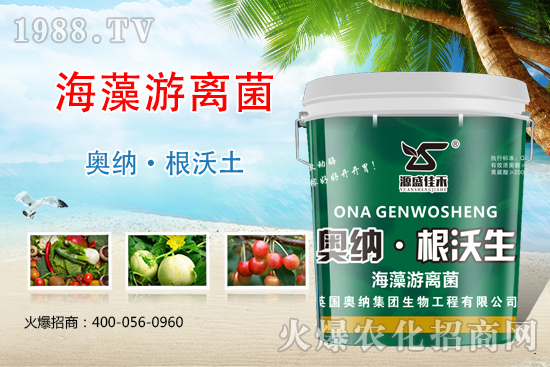 ���ӱ��W�{����Ʒ���u��������������o����ע��I�B(y��ng)�·�����