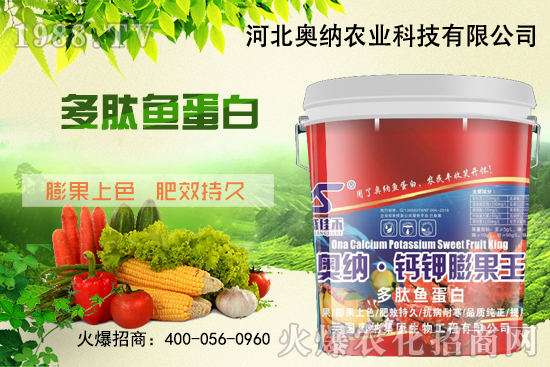 ���ӱ��W�{����Ʒ���u��������������o����ע��I�B(y��ng)�·�����