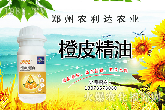 橙皮精油您了解多少？橙皮精油有什么作用？怎么選橙皮精油？