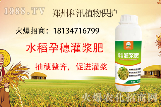 水稻施肥有技巧，這些你都知道了么？水稻施肥技術(shù)要點！