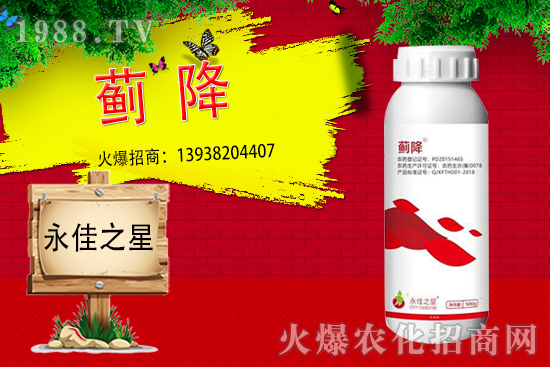 薊馬危害癥狀有哪些?用什么藥能有效防治?