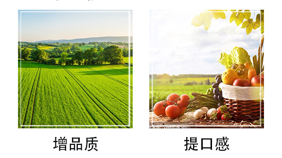 純硫基復合肥料16-11-23-歌利洋_06