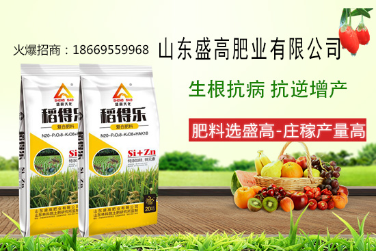 盛高肥業(yè)怎樣,有哪些優(yōu)勢?公司主打產(chǎn)品有哪些?