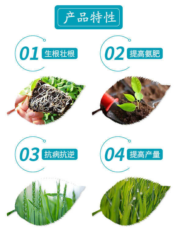 ������̼ø���ܷ�-���Ȉ@-�����r(n��ng)�I(y��)_03