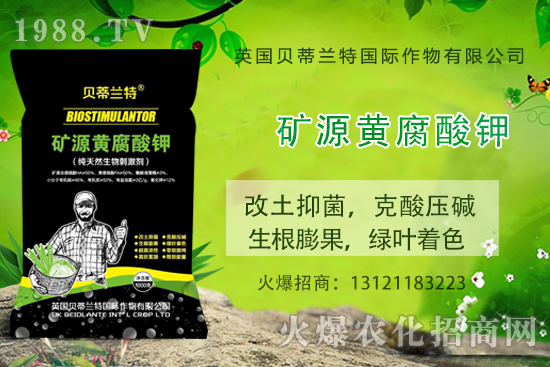 ���ÿ���ô�B(y��ng)�����ÿ��B(y��ng)ֳ������ע�����(xi��ng)��