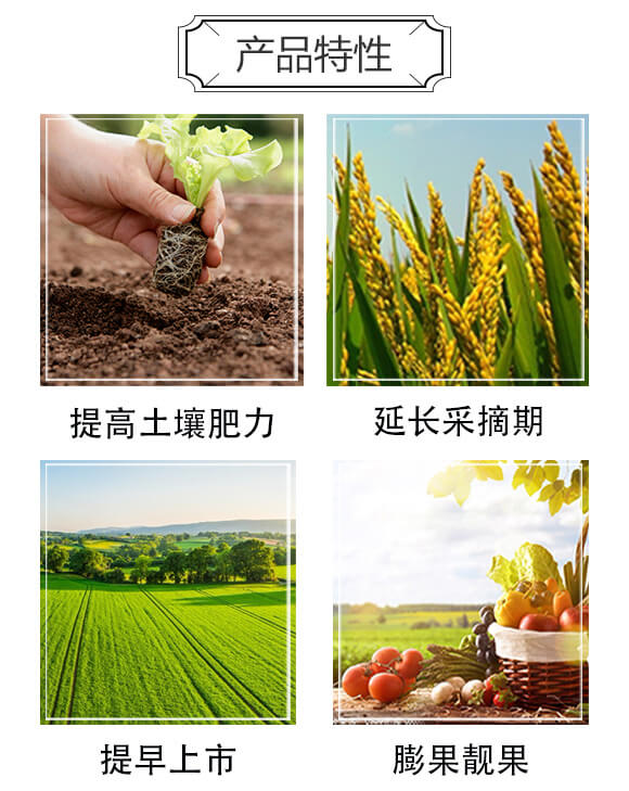 高磷高鉀型大量元素水溶肥料0-450-600+TE-阿姆達(dá)_03