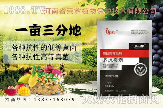 白粉、繡病、霜霉病害真難打？防治藥劑有哪些？殺菌產(chǎn)品匯總！