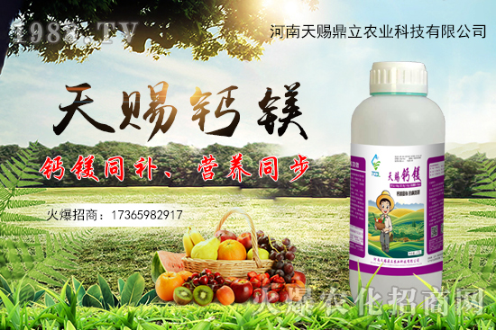 天賜鼎立有什么優(yōu)勢?天賜鼎立主推產(chǎn)品有哪些?