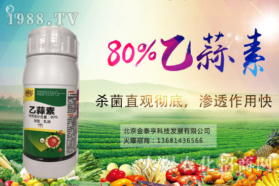 ����������Щ���c(di��n)�������ط�����Щ��������ô��Ч��������