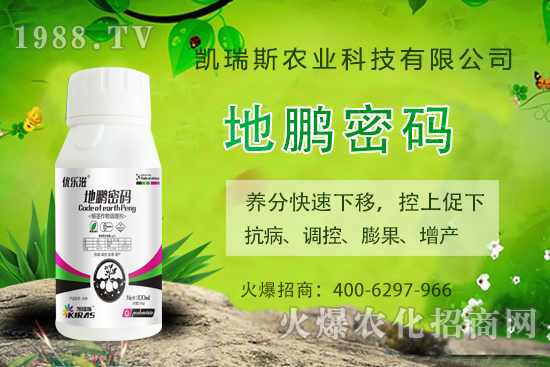 �P��˹�r(n��ng)�I(y��)��ô�ӣ��P��˹�r(n��ng)�I(y��)����a(ch��n)Ʒ����Щ��