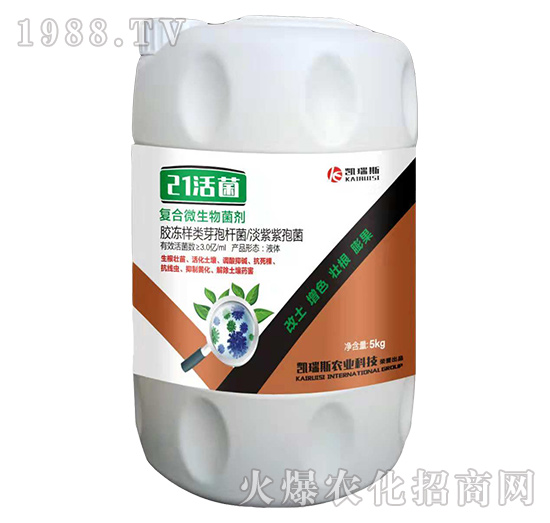 �P��˹�r(n��ng)�I(y��)��ô�����P��˹�r(n��ng)�I(y��)����a(ch��n)Ʒ����Щ��