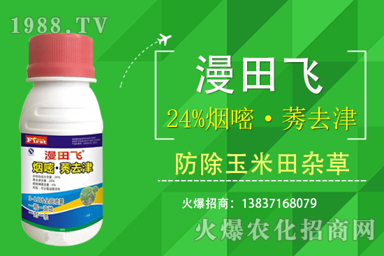 24%���ס�ݬȥ�����Ч���Æ���24%���ס�ݬȥ����ʲô���c��