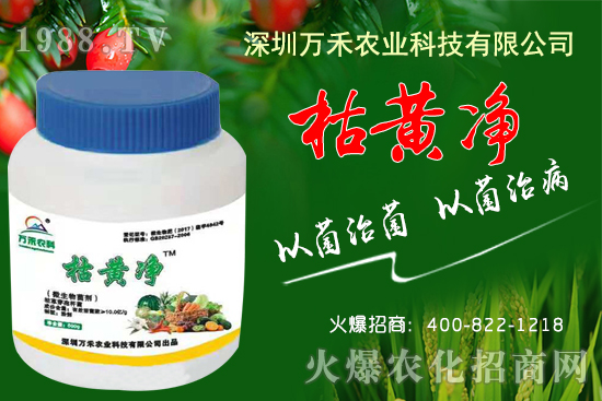 枯黃凈能防治哪些病害？枯黃凈適用作物及使用方法！