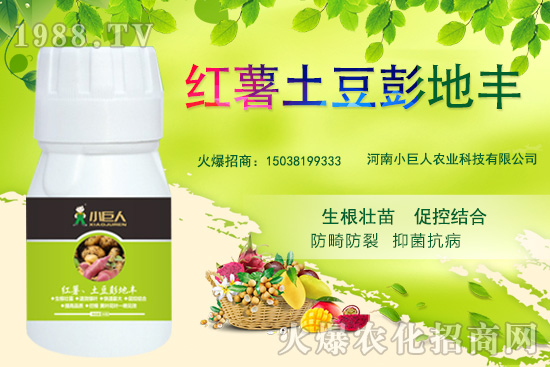 河南小巨人怎么樣？公司有什么優(yōu)勢(shì)？主推產(chǎn)品有哪些？