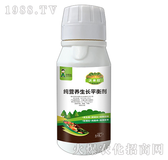 河南小巨人怎么樣？公司有什么優(yōu)勢(shì)？主推產(chǎn)品有哪些？