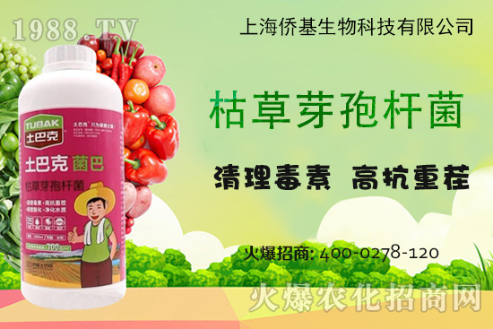 上海僑基“土巴克”-專注土壤病害防控和土壤修復(fù)15年！