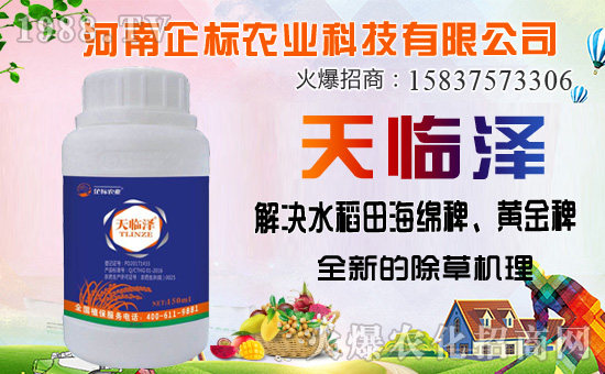 丁草胺除草機(jī)理,丁草胺能防除哪些草?使用注意事項(xiàng)有哪些?