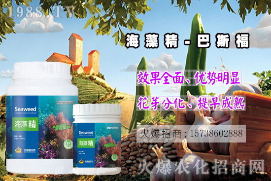  ߀���˽⺣�徫��ɶ����������out�ˣ����徫�����ж����