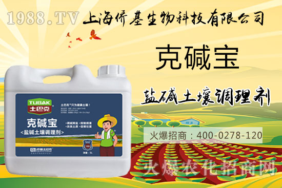 土壤鹽堿危害大，“克堿寶”消除鹽堿，還您一片沃土！