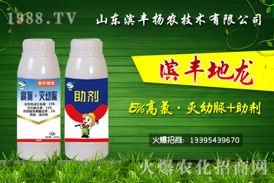 黑頭蛆、地蛆、根蛆如何有效防治？“15%高氯·滅幼脲+助劑”殺蛆雙保險(xiǎn)！	