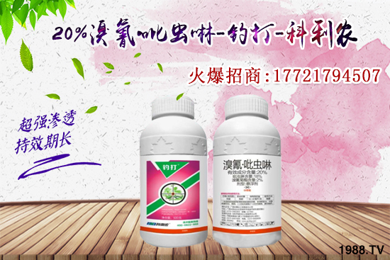 今年蚜蟲爆發(fā)太厲害!蚜蟲怎么打效果好?蚜蟲防治方法有哪些?