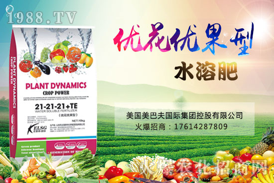 果實(shí)果小、不膨果？不妨試試“優(yōu)花優(yōu)果型水溶肥”，著色美果又增甜！