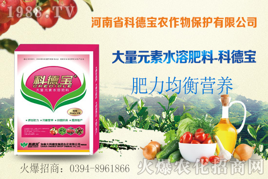 玉米空稈危害大，什么原因造成的？玉米空稈防控措施！