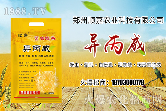 ��Ѹ�r(n��ng)��������һ����(zhu��n)���������P��(l��)�ϣ���˪�`+����������