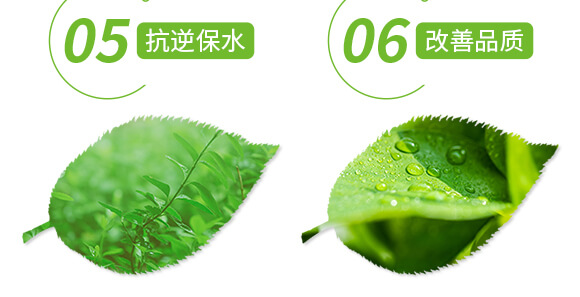 �VԴ�S�����-��ɫ����-��(��i)�r(n��ng)˹�_(d��)_06