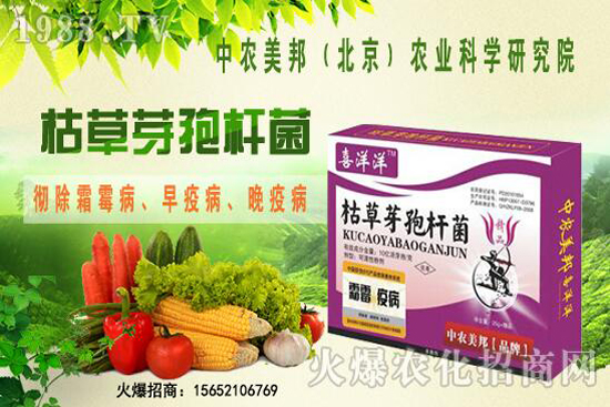 �ݲ�ѿ�ߗU���θ���������������Щ�������������Ό�(du��)������Щ��