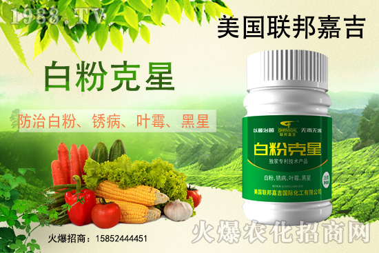 �׷۲����݁��u�����Ͱl(f��)������β���ô������׷۲������]��