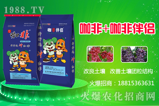 種好地沖好肥,解決作物生長(zhǎng)難題,“咖非+咖非伴侶”開創(chuàng)有機(jī)水溶肥新時(shí)代!