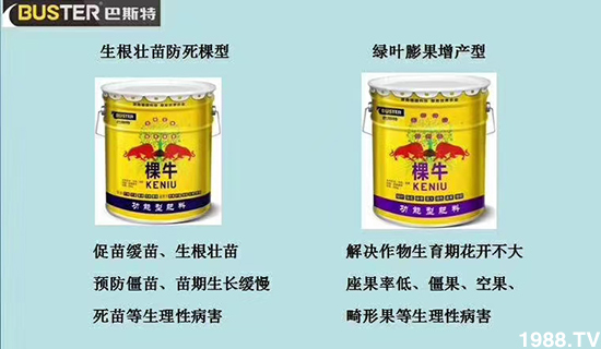     ���׌�Nֲ׃�ø��p����һ��(g��)�ײͣ�ȫ���䷽����˹�ش󽪠I(y��ng)�B(y��ng)�ײͷ�����