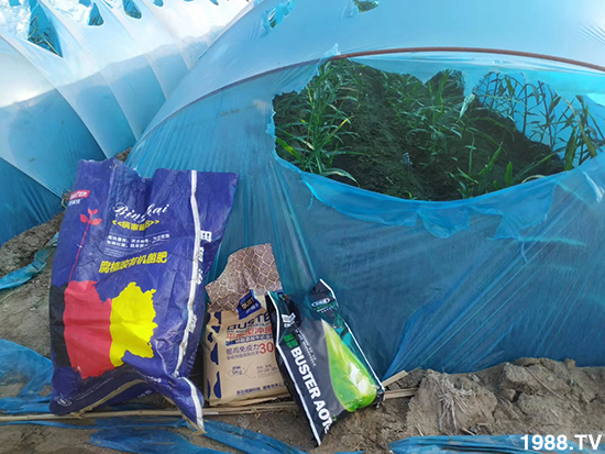     ���׌�Nֲ׃�ø��p����һ��(g��)�ײͣ�ȫ���䷽����˹�ش󽪠I(y��ng)�B(y��ng)�ײͷ�����