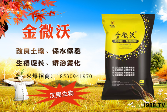 ����ͥԺ���ԷN���ц�������ʲô�r(sh��)��N����ô�Nֲ��