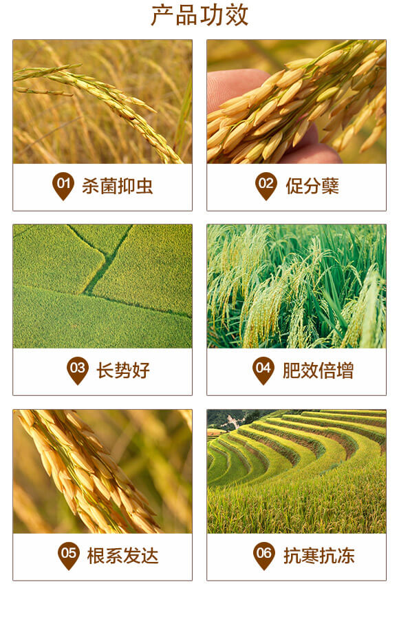 長(zhǎng)效緩釋摻混肥料-硅+鋅水稻肥-美科益農(nóng)_03