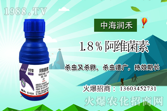 斜紋夜蛾高發(fā)期,防治工作迫在眉睫!斜紋夜蛾如何用藥?