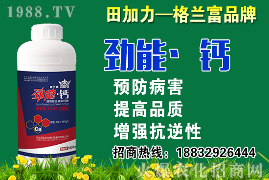 2020���}��ʲô�r��N�����}���NֲҪע����Щ���}��