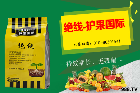 �޻���ʲôҪ�����������Щ��̎���޻�������g�������h��