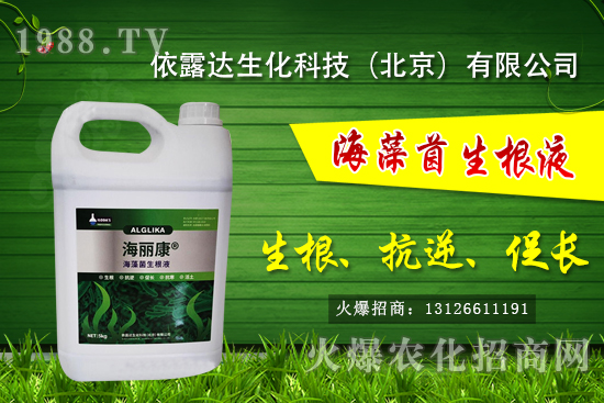 �J��������ЩƷ�N���J���Һ��殐����ʲô�^(q��)�e��