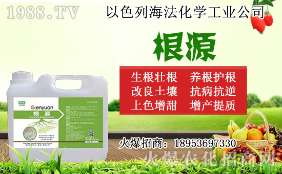 �o������ôǤ�����o����Ǥ��r�g��Ǥ�己ֳ������