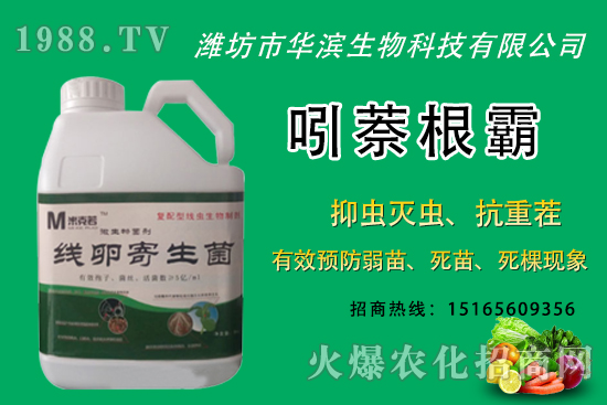 �o�����NֲʲôƷ�N�^�����o����Ƥ���ԳԆ����Nֲǰ�����ӣ�