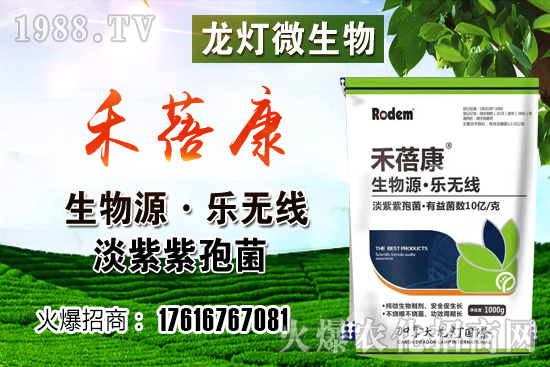 ���t���ڷ۷����������t��¶��ʹ���Nֲ�кβ�ͬ��