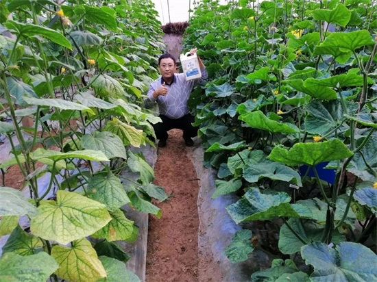 低溫菌解魚(yú)蛋白肥